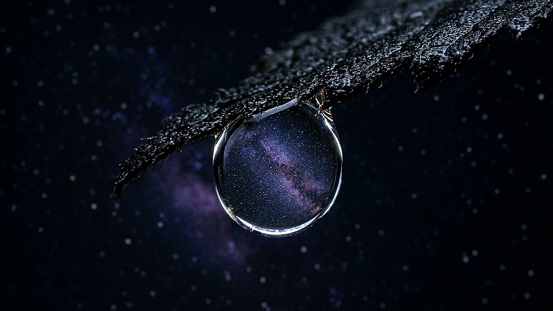 Goutte de rosée nocturne renfermant le reflet inversé du cosmos