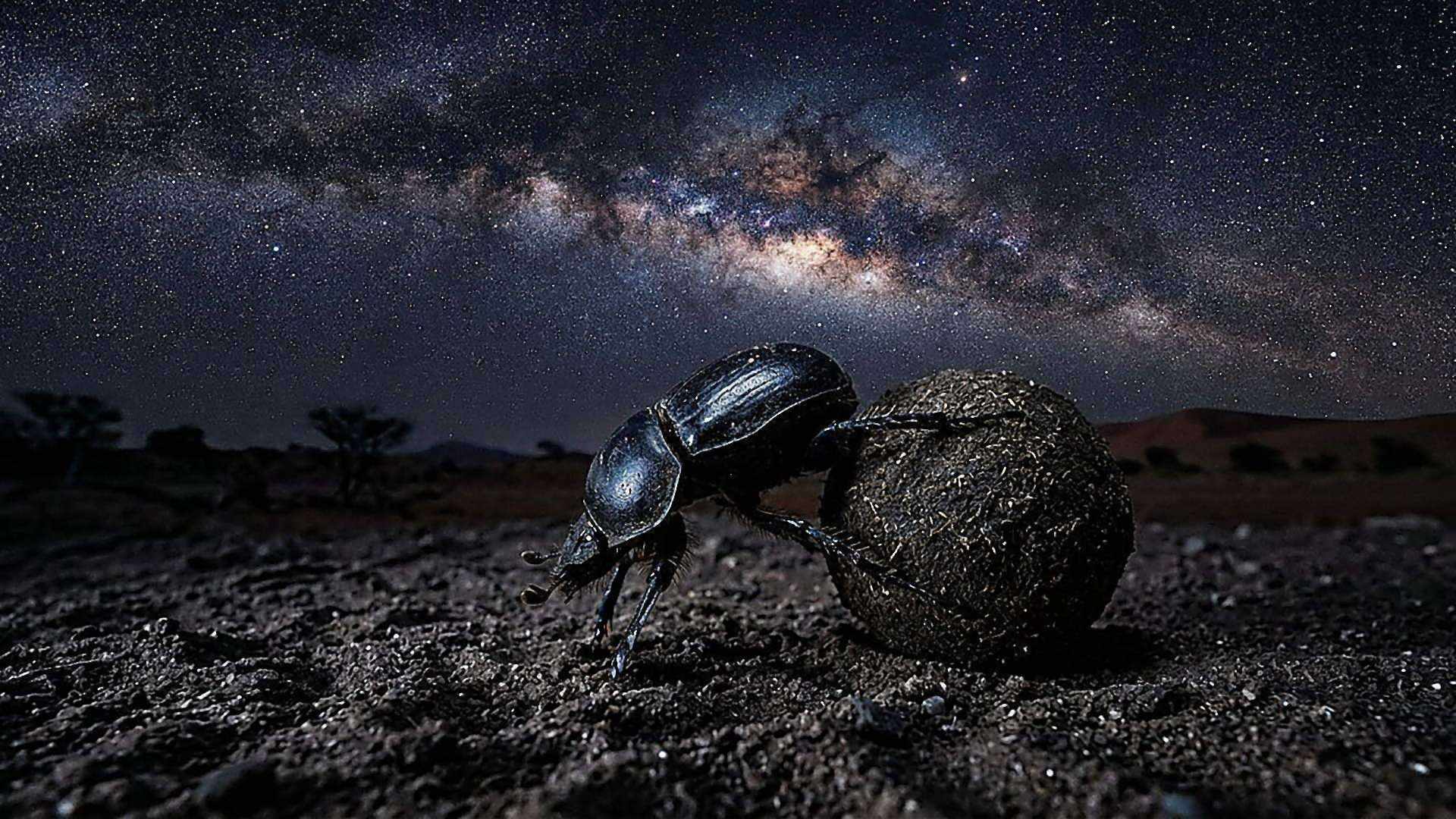 Une route tracée par les étoiles — reconstitution numérique